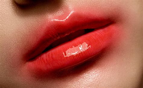 Damplips.com site information (OR damplipw.com damplpis.com).